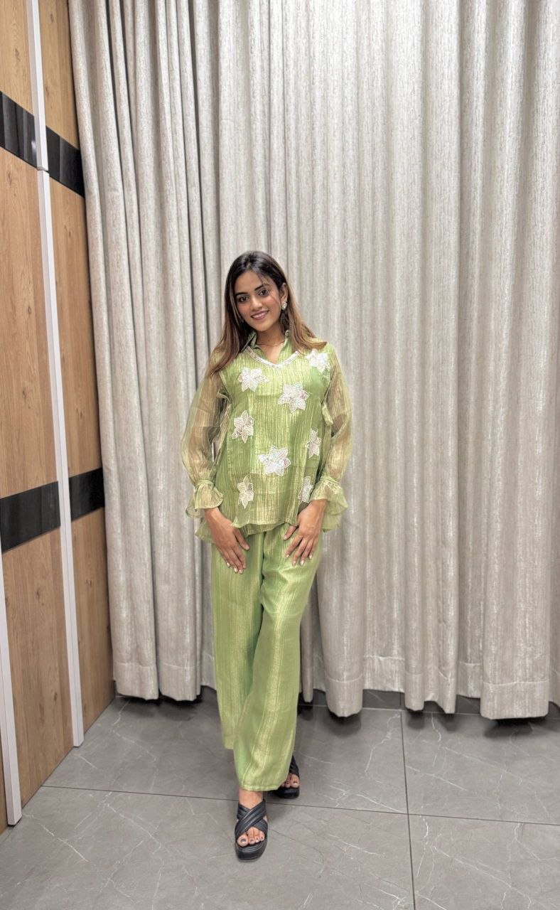 Pistachio Green Rich Salsa Embroidered Co-Ord Set with Designer Palazzo
