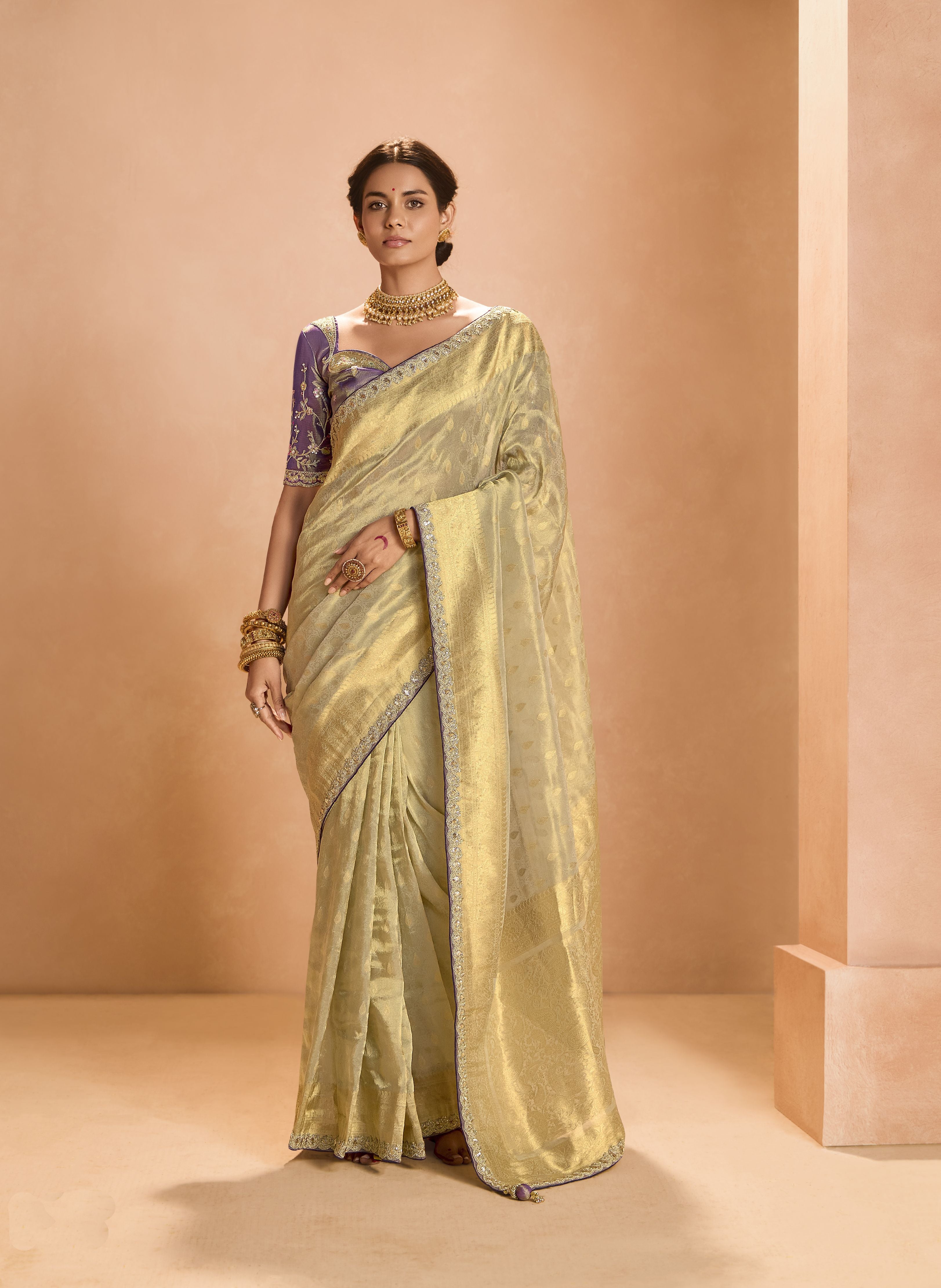 Beautiful Classic Style Wear Tissue Silk Saree-1