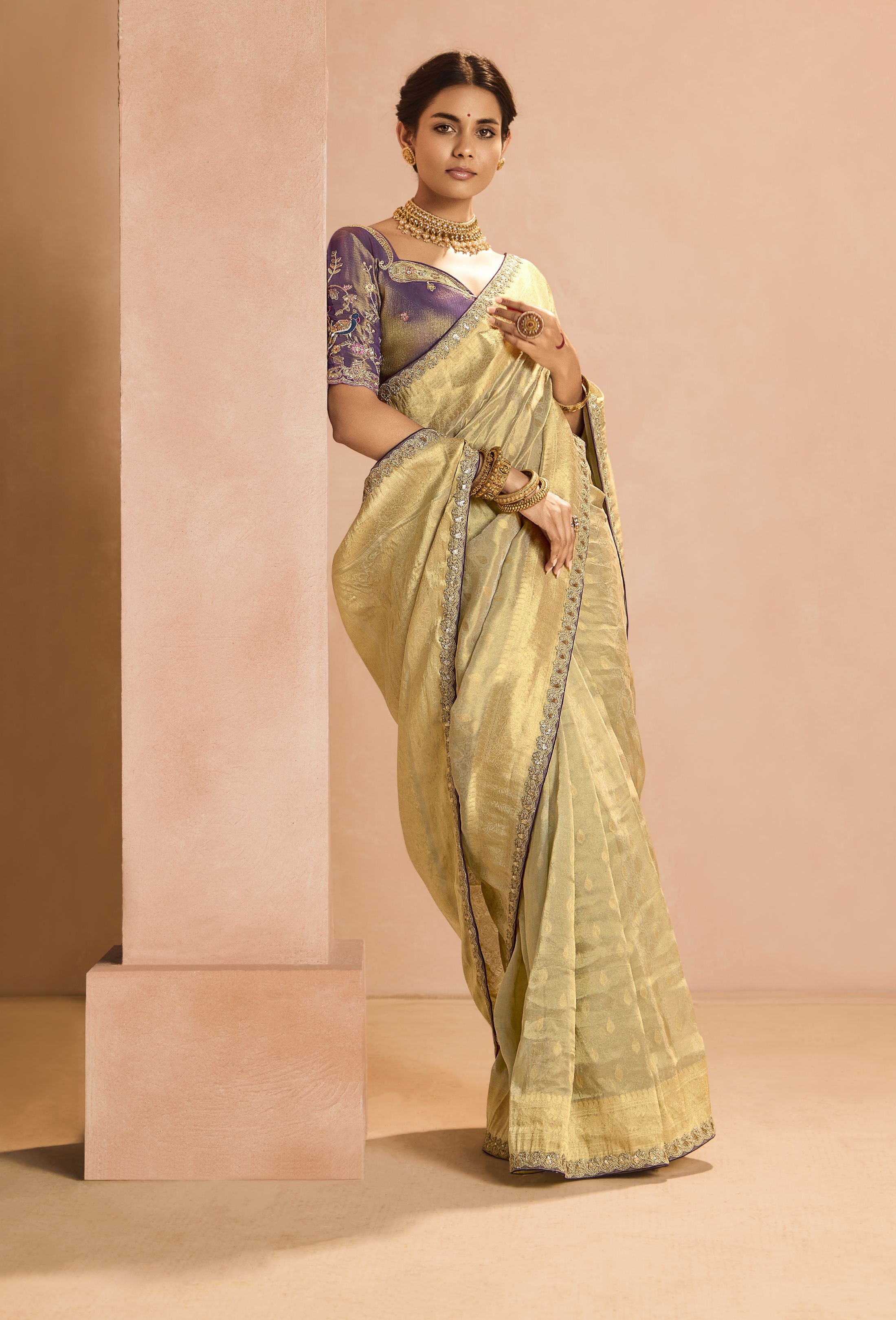 Beautiful Classic Style Wear Tissue Silk Saree